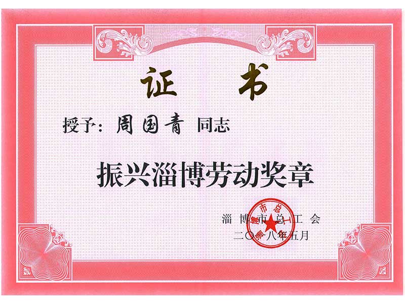 振兴淄博劳动奖章 